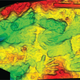 A scan of the fossils.